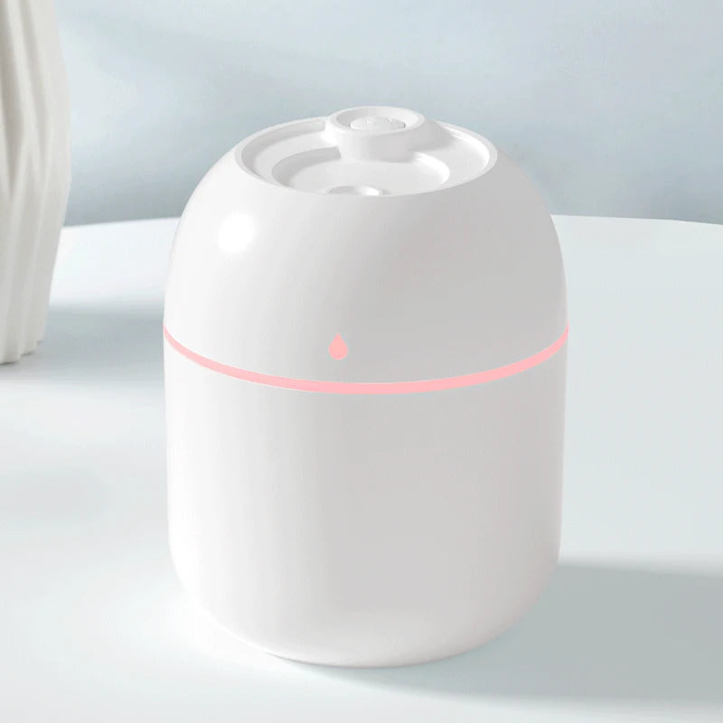 Portable USB Humidifier