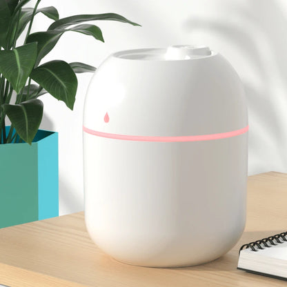 Portable USB Humidifier