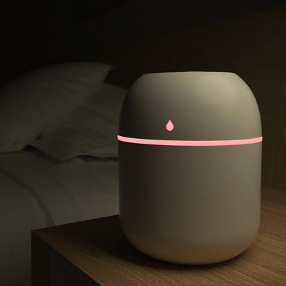 Portable USB Humidifier